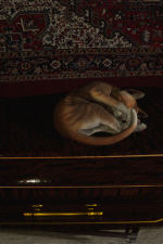 Screenshot #12 - Burial