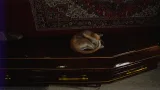Screenshot #12 - Burial