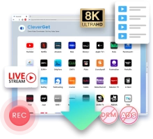CleverGet v24 (Loader/HookDLL)