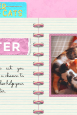 Screenshot #7 - A Shelter Full of Cats