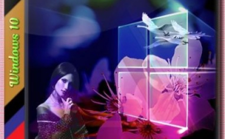 Windows 10 Ver 2004 with Update [19041.329] AIO by adguard (v20.06.11)