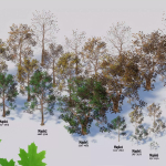 Screenshot #3 - Seasonal Forest