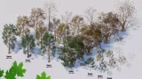 Screenshot #3 - Seasonal Forest