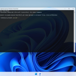 Screenshot #4 - Windows 11 Lite IoT Enterprise 25H2 Build 26200.6899