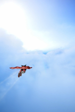 Screenshot #10 - Superhero Simulator