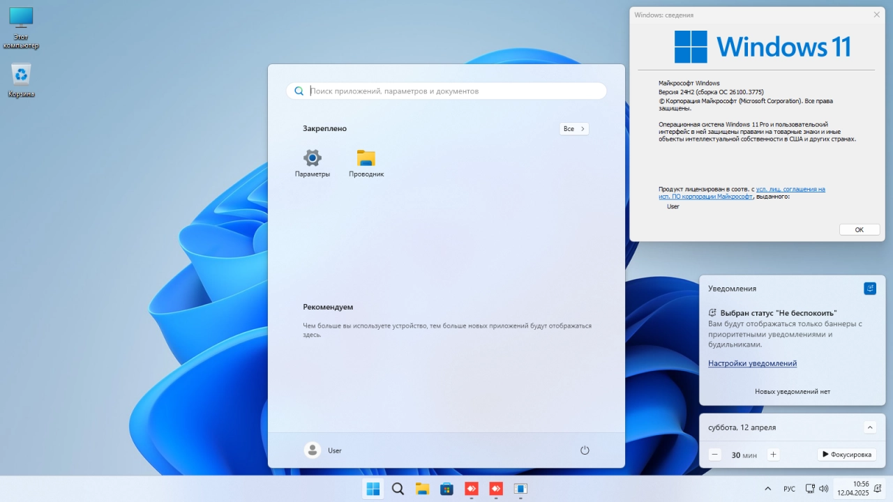 Screenshot #1 - Windows 11 Русская Pro VL x64 24Н2 (build 26100.3775) by ivandubskoj