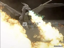 Dragon Flames