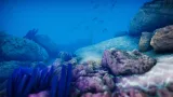 Screenshot #2 - Ocean Environment Pack