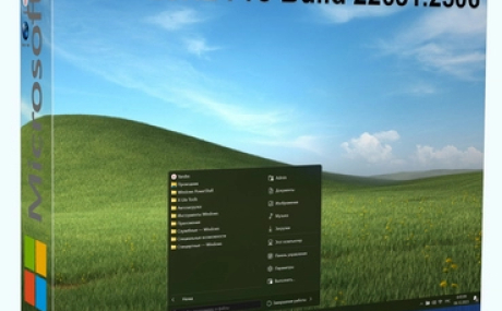 Windows X-Lite Optimum 11 23H2 Pro v3 (22631.2506)