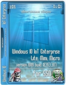 Windows 10 IoT Enterprise Lite, mini, micro 1909 (18363.387) for SSD xlx (x64)
