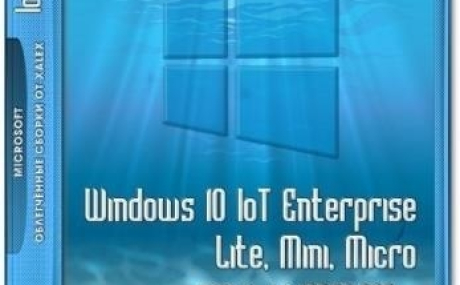 Windows 10 IoT Enterprise Lite, mini, micro 1909 (18363.387) for SSD xlx (x64)