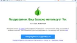 Screenshot #1 - Tor Browser Bundle