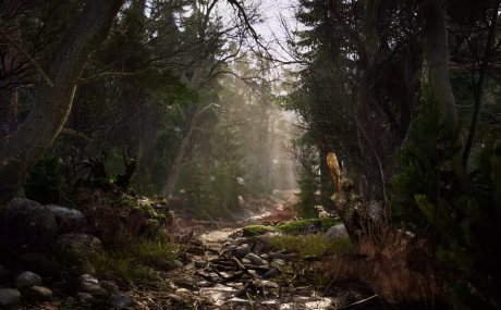 Real Landscapes - Valley Forest