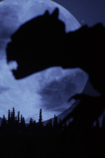 Screenshot #9 - Folklore Hunter