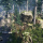 Mountain Trees - Dynamic Nature
