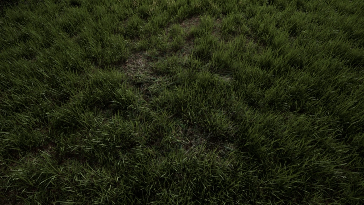 Screenshot #4 - Realistic Grass SV 02 Master Grass для UE5