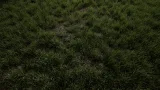 Screenshot #4 - Realistic Grass SV 02 Master Grass для UE5