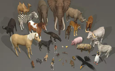 Animal pack deluxe v2 1.0