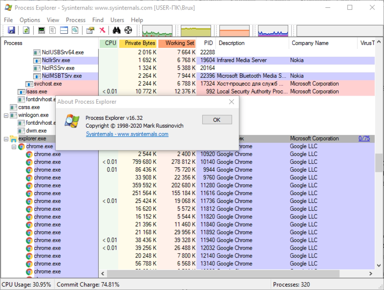 Screenshot #4 - Process Explorer