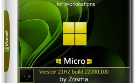 Windows 11 Pro For Workstations micro 21H2 build 22000.100 by Zosma (x64)