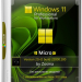 Windows 11 Pro For Workstations micro 21H2 build 22000.100 by Zosma (x64)