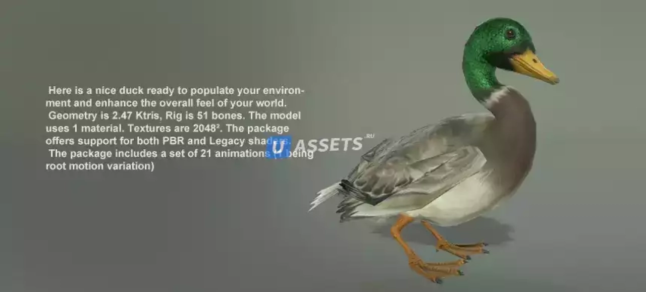 Screenshot #2 - BIRDS PACK
