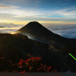 Screenshot #7 - Windows 11 Pro x64 + OpenVpn by WebUser v5