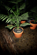 Screenshot #7 - The Lingering Graveyard Visit