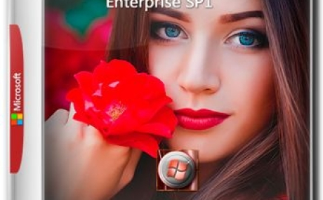 Windows 7 Enterprise SP1 02.11.19. Rus by Egeri