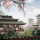 Japan Garden (HDRP)