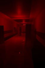 Screenshot #3 - Backrooms: Run For Your Life!