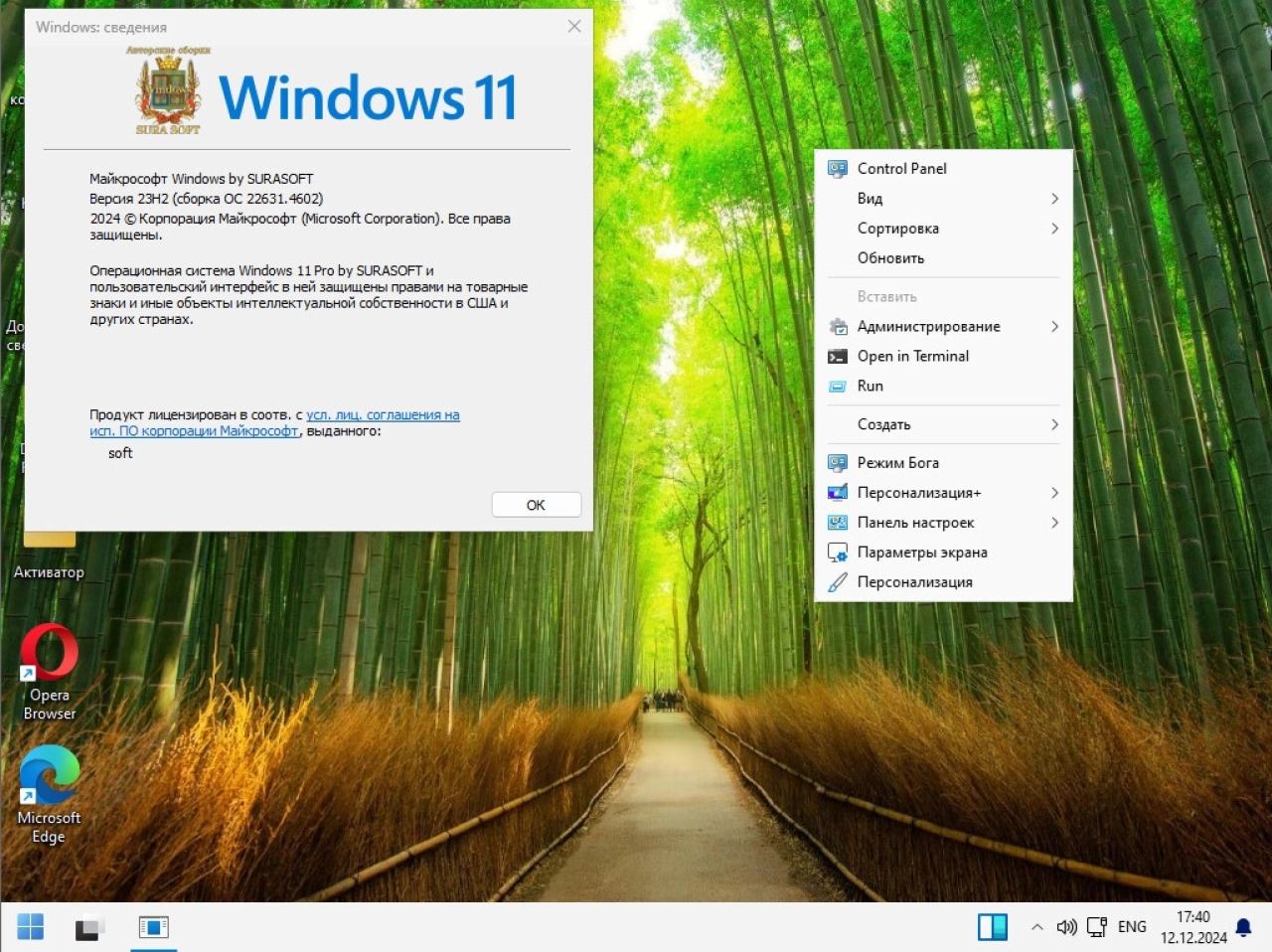 Screenshot #4 - Windows 11 Русская 26100.2033_22261_22361.4602.Mod by SURASOFT