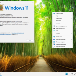 Screenshot #4 - Windows 11 Русская 26100.2033_22261_22361.4602.Mod by SURASOFT