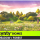 POLYGON Meadow Forest - Nature Biomes - Low Poly 3D Art by Synty