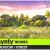 POLYGON Meadow Forest - Nature Biomes - Low Poly 3D Art by Synty