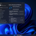 Screenshot #8 - Windows 11 Pro 22H2 22621.1778 by Ankh Tech