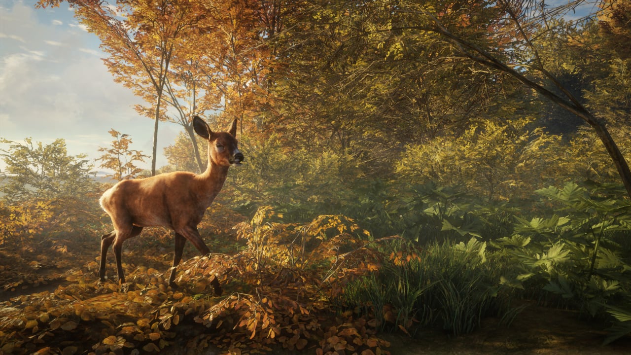 Screenshot #12 - theHunter: Call of the Wild