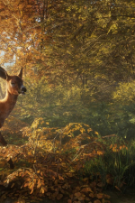 Screenshot #12 - theHunter: Call of the Wild