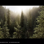 Screenshot #2 - Nanite Trees Vol.1