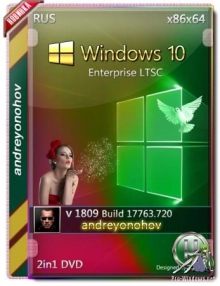 Windows 10 Enterprise LTSC 2019 17763.720 Version 1809 [2in1] DVD