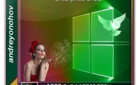 Windows 10 Enterprise LTSC 2019 17763.720 Version 1809 [2in1] DVD