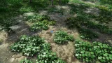 Screenshot #4 - European Vegetation Pack Two