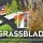 Grassblade v2.6 PRO  - Addon For Grass, Weed, Field, Meadow, Lawn (Blender)