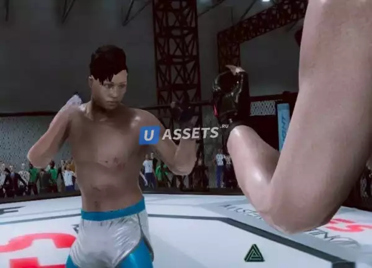 Screenshot #1 - Master Fighting System
