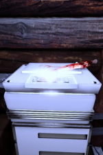 Screenshot #9 - Echoes in the Storm