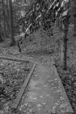 Screenshot #2 - Wardwell House