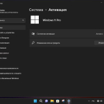 Screenshot #17 - Windows 11 Pro x64 Lite 22H2 build 22616.1 by Zosma