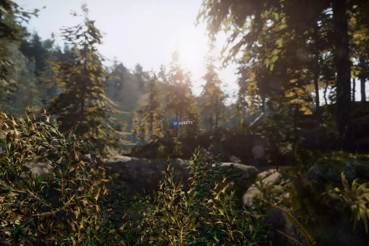 Screenshot #3 - C.V.P - Pine Woods
