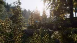 Screenshot #3 - C.V.P - Pine Woods
