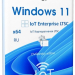 Windows 11 IoT Enterprise LTSC 2024 24H2 x64 Русская by OVGorskiy 11.2024